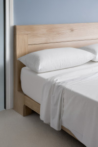 Anti-Dust Mite Pillow Acarsan – Cotton Cover